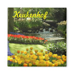 Keukenhof magnets