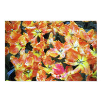 Keukenhof Tulips posters