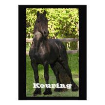 Keuring Celebebration 4 Anuncios