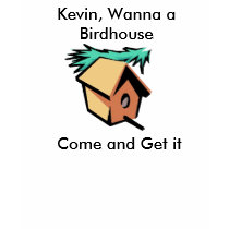 Kevin Jonas BirdHouse t-shirts