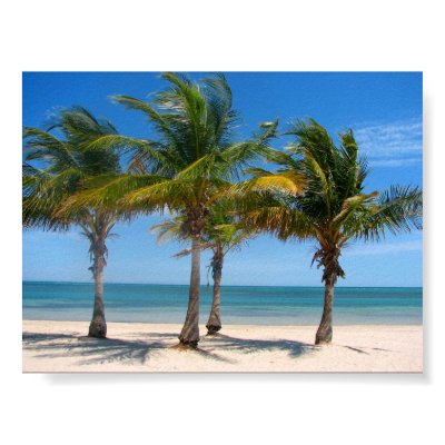 Key Biscayne palms Print by ronnie44052