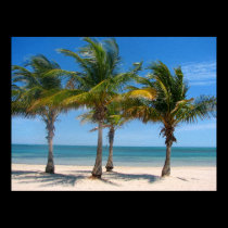 Key Biscayne palms posters