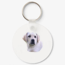 KEY CHAIN keychains by corndoggie KEY CHAIN keychains