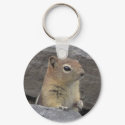 Key Chain keychains by NatureGuy Key Chain keychains