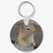 Key Chain keychains by NatureGuy Key Chain keychains