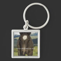 Key chain, UIL keychains