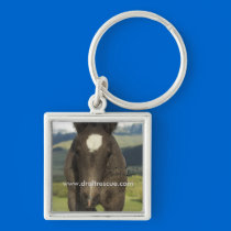 Key chain, UIL keychains by 1drafthorse Key chain, UIL keychains