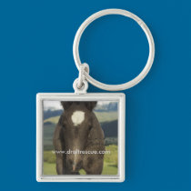 Key chain, UIL keychains