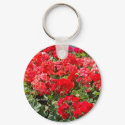Key chains keychains