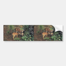Key Deer Bumper Stickers