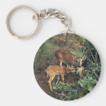 Key Deer Key Chains