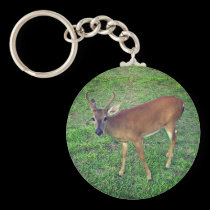 Key Deer keychains