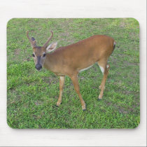 Key Deer mousepads