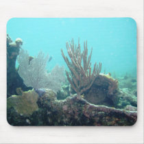 Key Largo mousepads by tdallos Key Largo mousepads