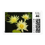 Key Lime Stamps