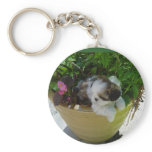 Key Ring with Shih Tzu puppy keychains