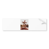 key river lodge 043 bumper stickers