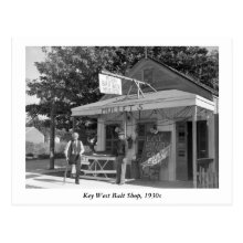Key West Bait Shop, 1930s Postcard