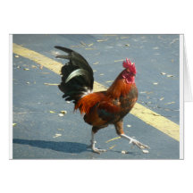 Key West Chicken Greeting Card