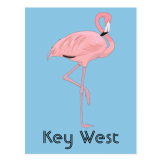 florida flamingo key west postcard pink native gifts