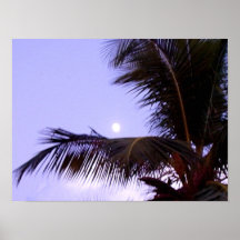 Key West, la Florida Poster