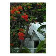 Key West Roof ATC Photo Card Business Cards