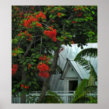 Key West Roof Photo Poster Print