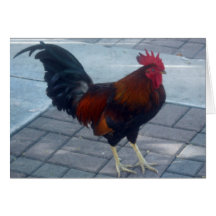 Key West Rooster Cards