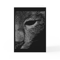 Keyairah cards