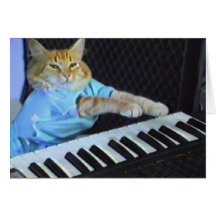 Keyboard Cat Greeting/Christmas Cards!