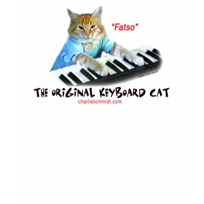 keyboard Cat  lady shirt by charlieschmidt