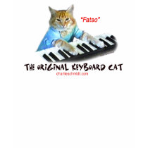 keyboard Cat  lady shirt
