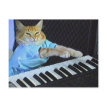 Keyboard Cat Postcard!