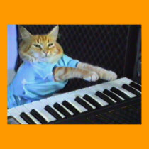 Keyboard Cat Wall Poster! posters