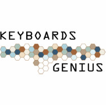 Keyboards Genius photo sculptures