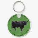 Keychain by saraann422 Keychain