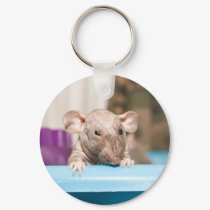 keychain