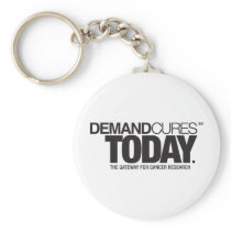 Keychain keychains
