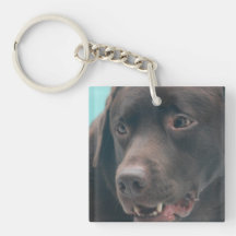 keychain acrylic keychains - Customized