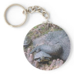 Keychain "Gator Hugs"