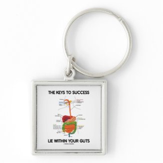 Keys To Success Lie Within Your Guts (Digestive) keychain