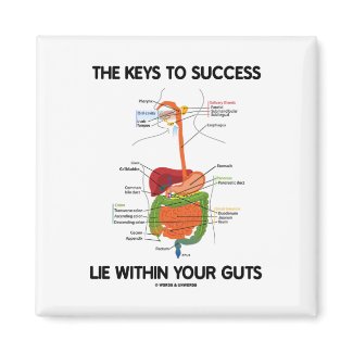 Keys To Success Lie Within Your Guts (Digestive) magnet