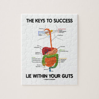 Digestive System Puzzles | Digestive System Jigsaw Puzzles