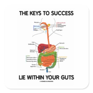 Keys To Success Lie Within Your Guts (Digestive) sticker