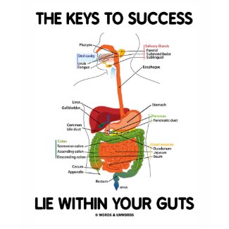 Keys To Success Lie Within Your Guts (Digestive) shirt