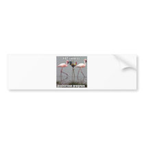 kfc bumper sticker