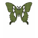 Khaki Butterfly t-shirts