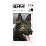 khaki postage