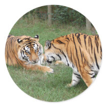 khan-n-china003 stickers