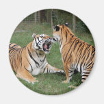khan-n-china006 refrigerator magnet
